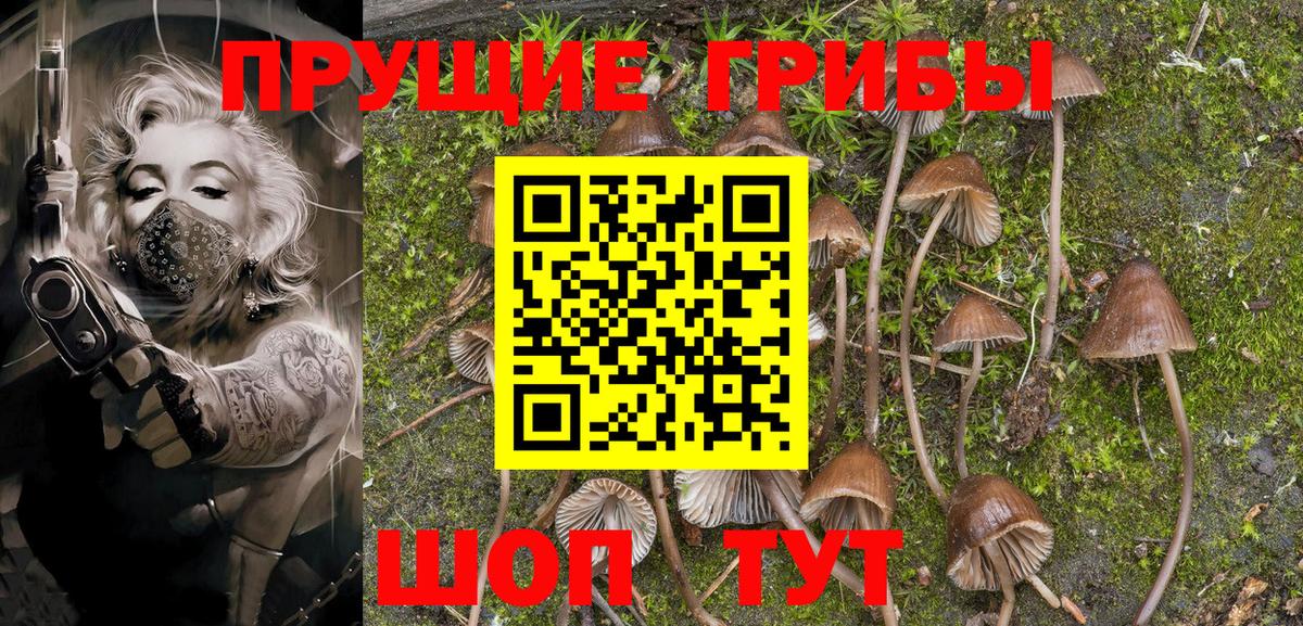 Галлюциногенные грибы MAGIC MUSHROOMS Крымск