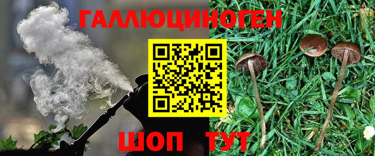 Галлюциногенные грибы мухоморы  Вход с VPN  Крымск 